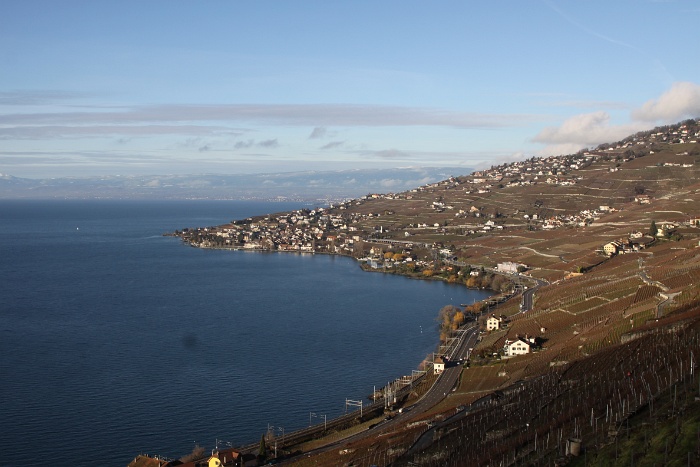 Vignes Chexbres - 002